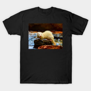 Mink Impostor T-Shirt